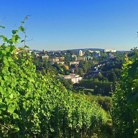 Schroeders Wein-Style-Hotel Трір Екстер'єр фото