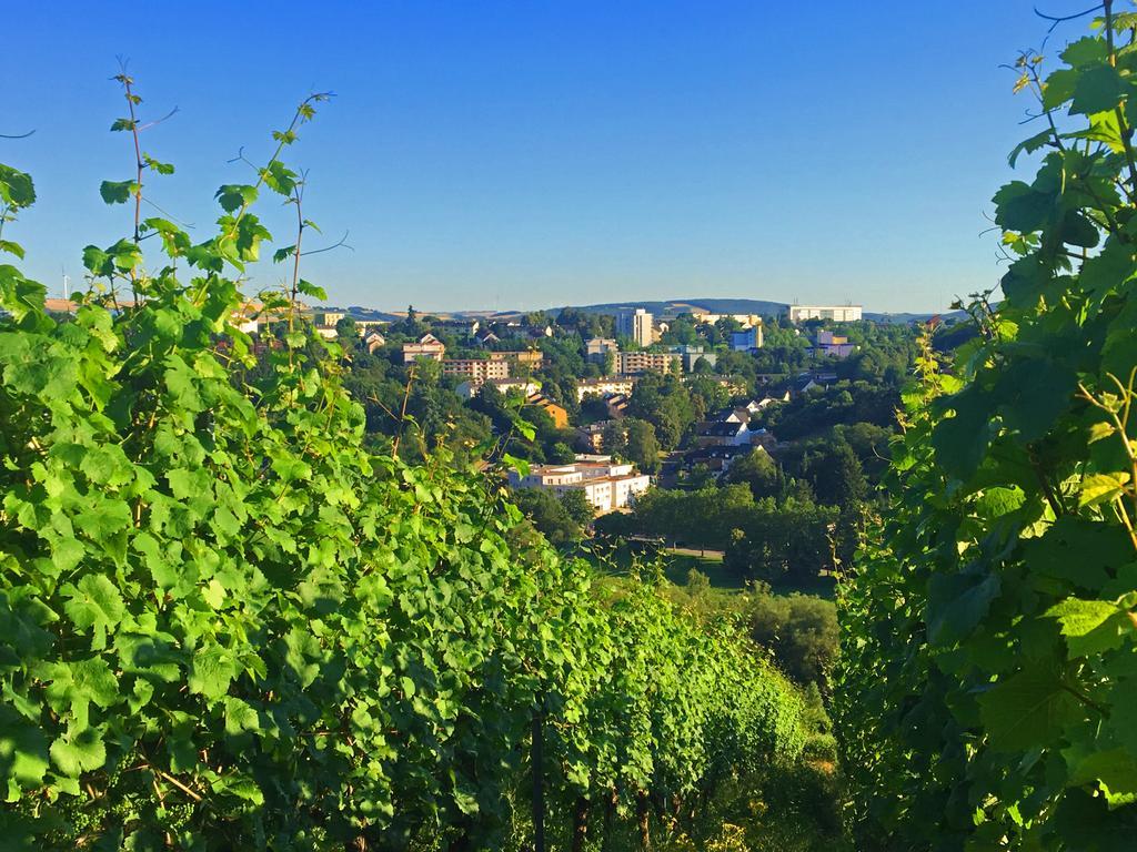 Schroeders Wein-Style-Hotel Трір Екстер'єр фото