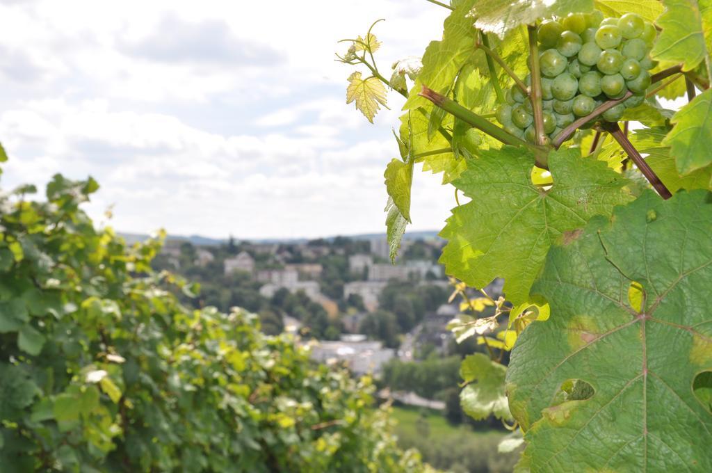 Schroeders Wein-Style-Hotel Трір Екстер'єр фото